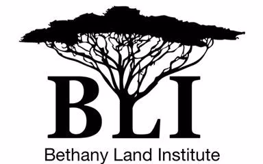 BLI